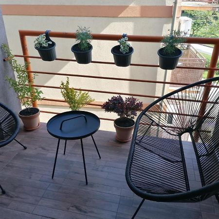 Koko Apartman Vrnjacka Banja Ngoại thất bức ảnh