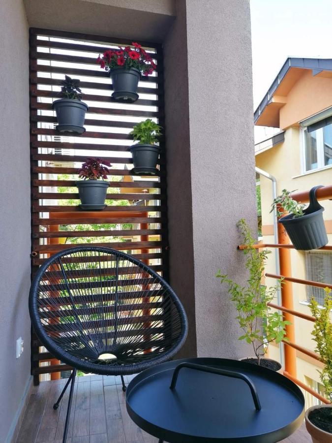 Koko Apartman Vrnjacka Banja Ngoại thất bức ảnh