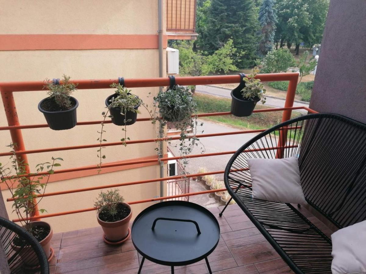 Koko Apartman Vrnjacka Banja Ngoại thất bức ảnh
