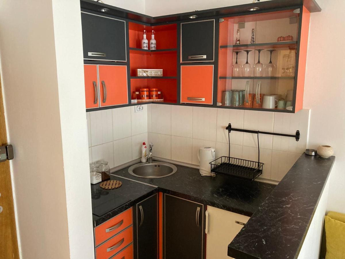 Koko Apartman Vrnjacka Banja Ngoại thất bức ảnh